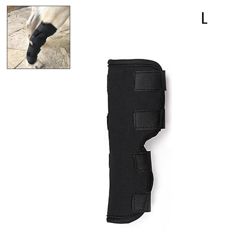 Eychin Dog Leg Support Brace Pet Protector Dog Surgical Injury Fixed