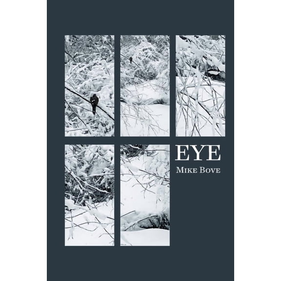 Eye, (Paperback)