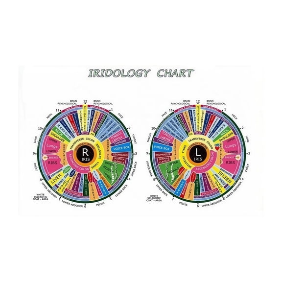 Eye Analysis Diagnostic Reference Complete Iridology Chart Poster Canvas Art for Herbalist Healer Student Study
