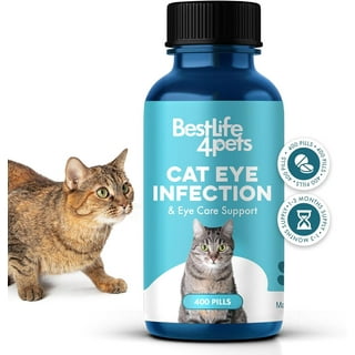 Kitty eye drops hotsell