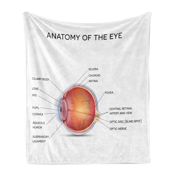 Eye Chart Soft Flannel Fleece Throw Blanket, Anatomy of an Eye Composed with Parts Named, Cozy Plush for Indoor and Outdoor Use, 50" x 70", White Burnt Orange, by Ambesonne