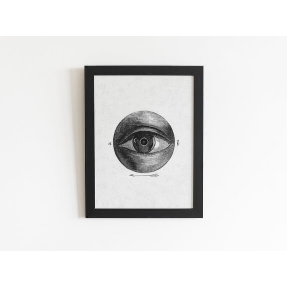 Eye Diagram Isaac Weissenbruch Anatomical Lithograph Mountain Wall Decor Unframed Paper Print