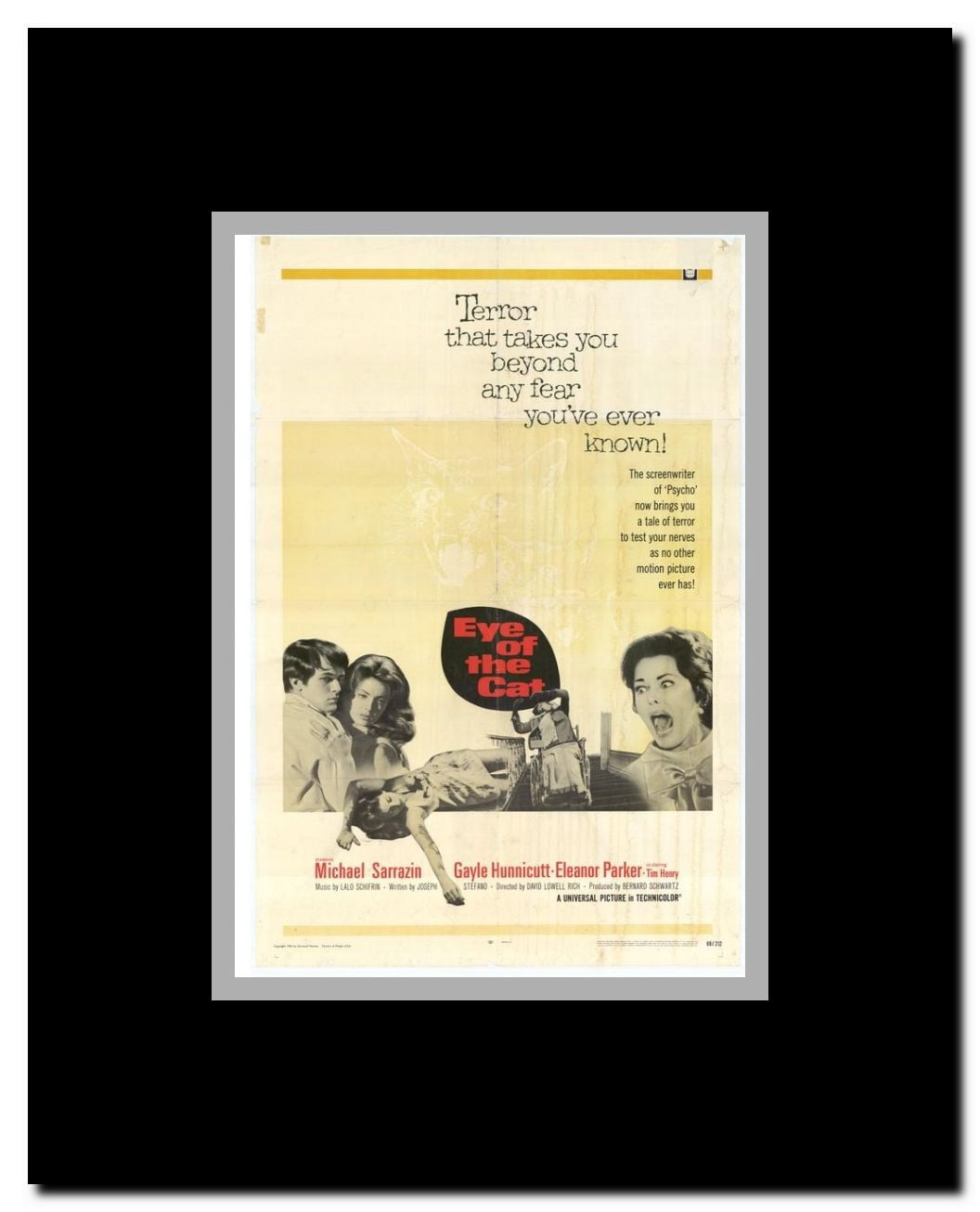 Eye of the Cat Framed Movie Poster
