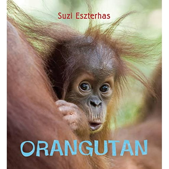 Pre-Owned Eye on the Wild: Orangutan (Hardcover) 1847803164 9781847803160