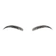 thumbnail image 1 of Eyebrows on Point Brow Sculptor, 1 of 6