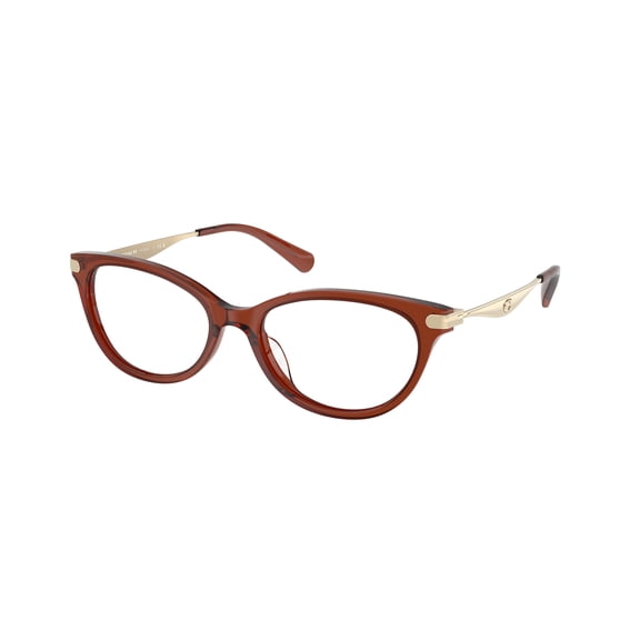 Eyeglasses Coach HC 6245 U 5847 Transparent Brown