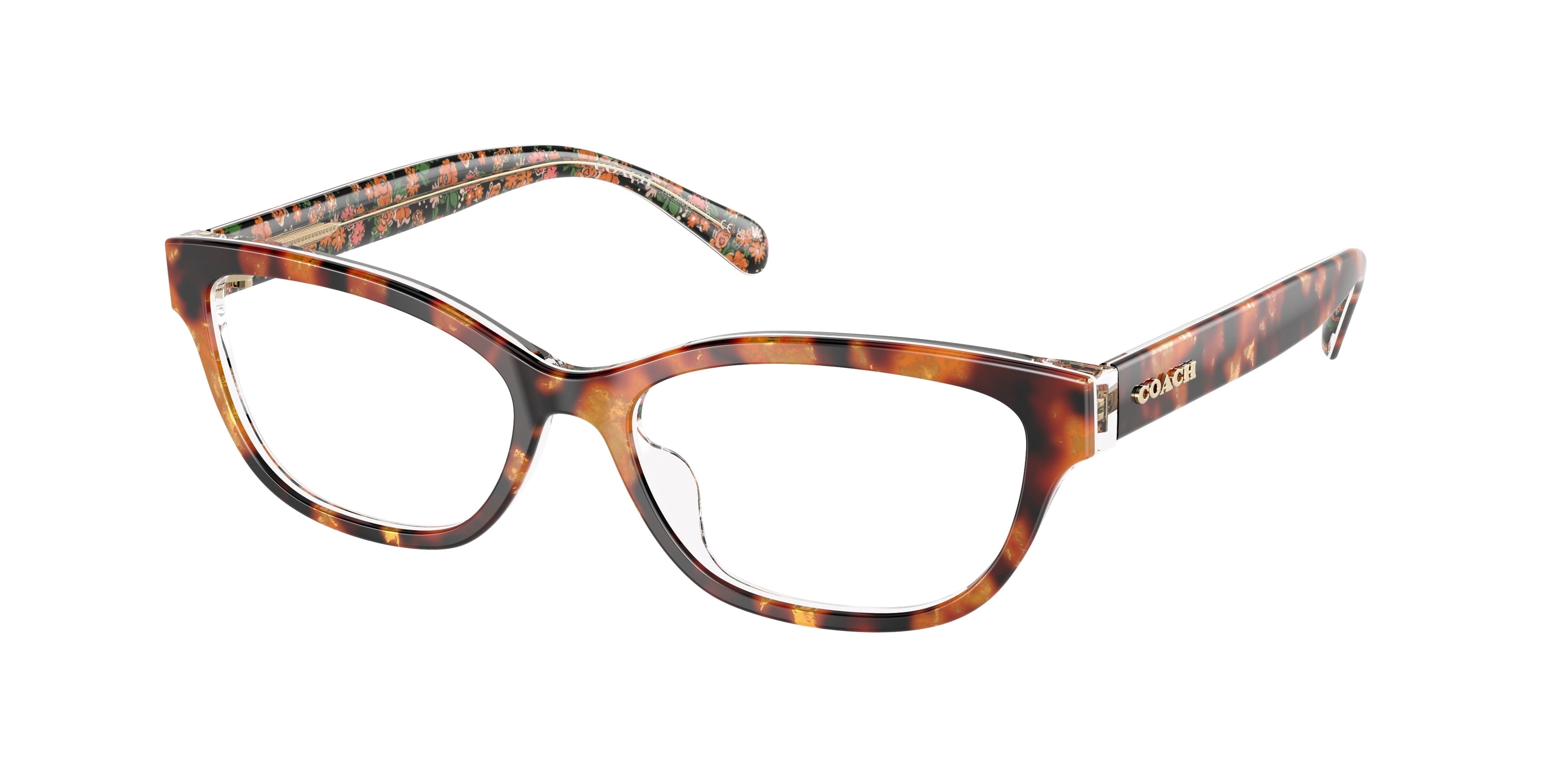 Coach Eye Frames display picture 2