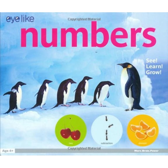 Pre-Owned Eyelike Numbers (Hardcover) by playBac Publishing (Creator)