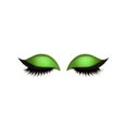 thumbnail image 1 of Eyeliner Stickers,Lazy Eye Shadow Eyelash Patch,Eyeshadow Eyelash Stickers,3-in-1 Self-Adhesive Reusable Fast Eye Makeup Stickers with False Lashes(Green 1Pair)from Biweutydys, 1 of 9