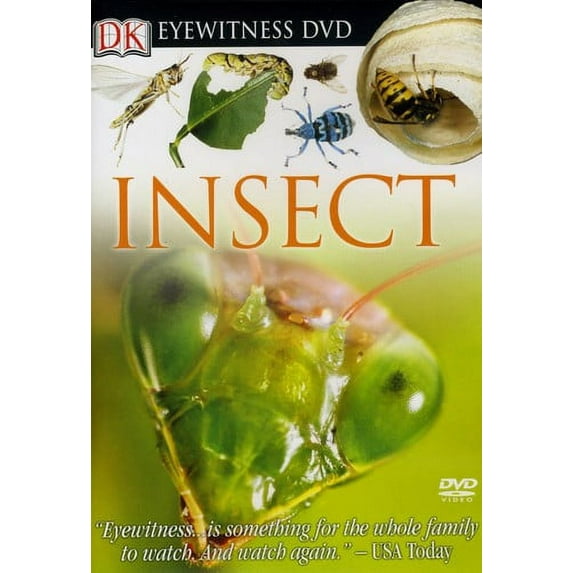 Eyewitness: Insect
