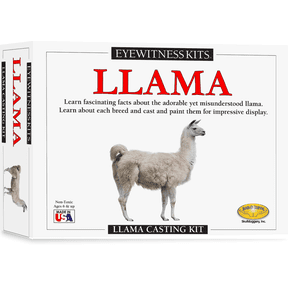 Eyewitness Kits Perfect Cast Llama Cast, Paint, Display and Learn Craft Kit