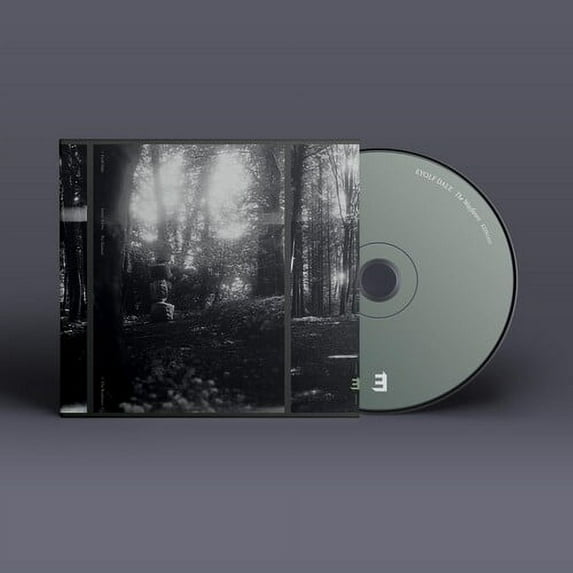 Eyolf Dale - THE WAYFARERS - Music & Performance - CD