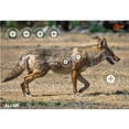 thumbnail image 1 of Ez Aim Paper Shooting Targets, Coyote, 35 In x 25 In, 2-Pack, Multi-Color, 1 of 5