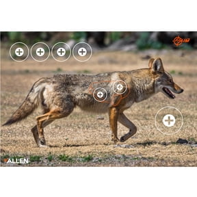 Ez Aim Paper Shooting Targets, Coyote, 35 In x 25 In, 2-Pack, Multi-Color