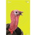 thumbnail image 1 of Ez Aim Splash Reactive Paper Shooting Targets, Turkey Target, 12"W X 18"H, 8-Pack, Black/Chartreuse, 1 of 6
