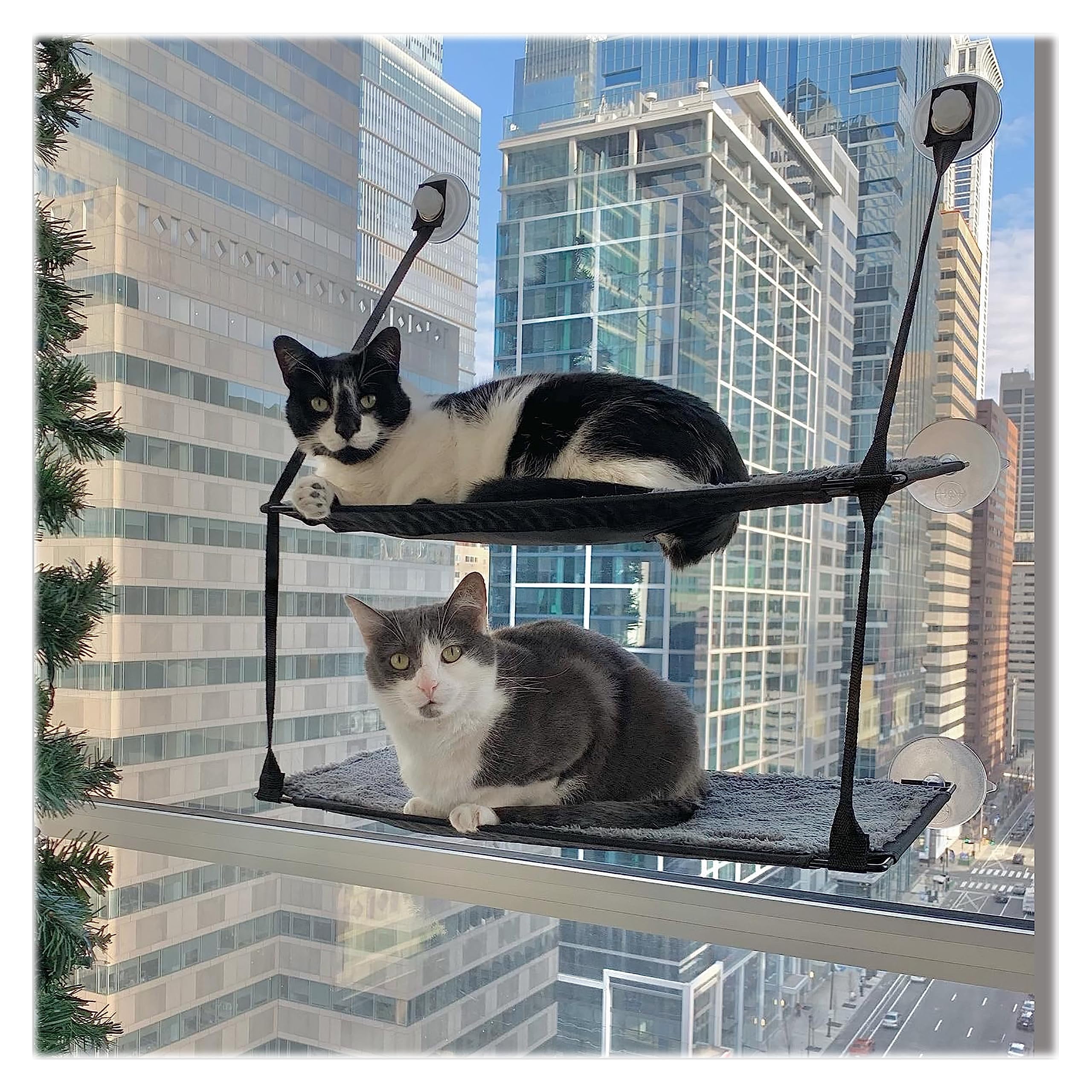 Ez Mount Double Stack Cat Window Perch For Large Cats  Sturdy Hammock Bed Steel Frame Suction Cups 2 Washable Shelf Covers Foldable - Fits 27"w X 31"h Glass Spaces