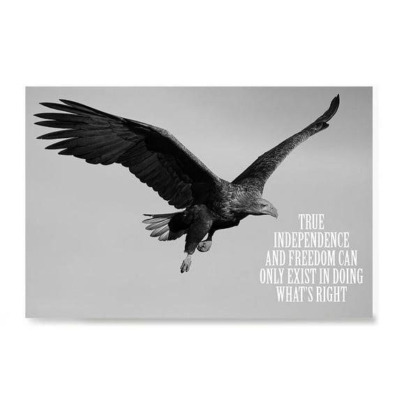 EzPosterPrints - Most Popular Eagle Theme Quote Posters - Power Strength Brave Motivational Quotes Poster Printing - Wall Art Print for Home Office - INDEPENDENCE - 18X12 inches