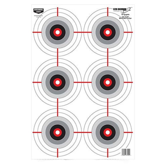 Eze-Scorer Target