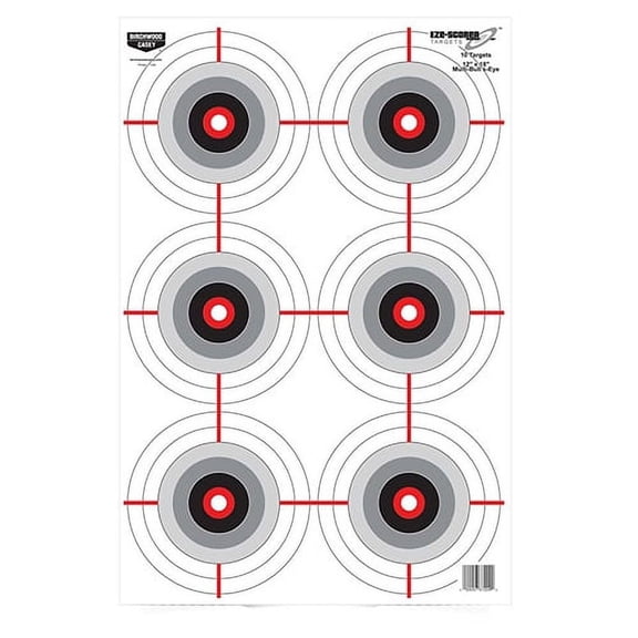 Eze-Scorer Target
