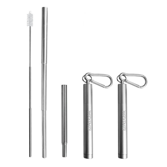 Ezprogear 2 Pack Metal Collapsible Stainless Steel Drinking Straw Silver Color Telescopic Portable Straws with Case (2 Pack, Silver Color)