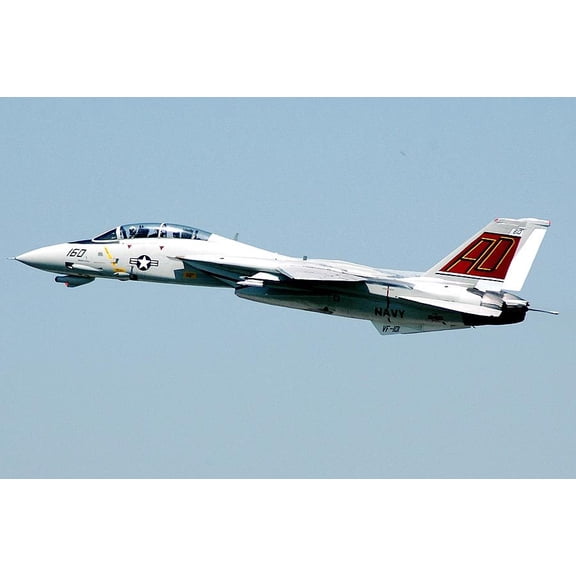 F-14 / F-14D Tomcat Grim Reapers VF-101 Style - A - 20x30 Inch Glossy Laminated Aviation Poster - Stunning Detail and Bold Colors