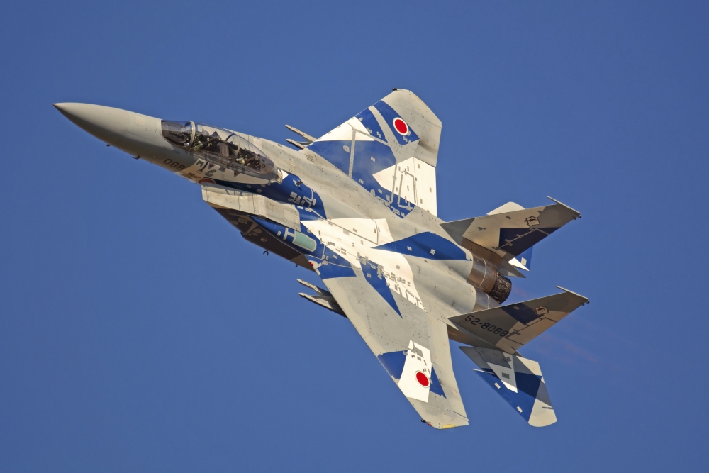 F-15DJ Eagle of the Japan Air Self Defense Forces Hiko Kyodatai aggressor squadron Canvas Art - Phil WallickStocktrek Images (17 x 12)
