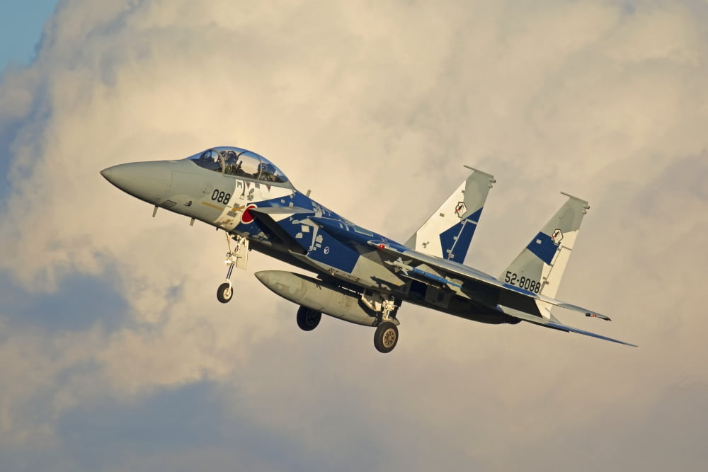 F-15DJ Eagle of the Japan Air Self Defense Forces Hiko Kyodatai aggressor squadron Canvas Art - Phil WallickStocktrek Images (17 x 12)
