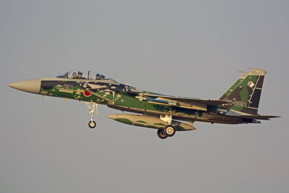 F-15DJ Eagle of the Japan Air Self Defense Forces Hiko Kyodatai aggressor squadron Canvas Art - Phil WallickStocktrek Images (17 x 12)