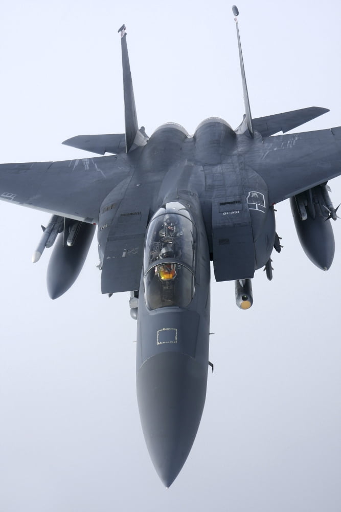 F-15E Strike Eagle of the US Air Force Canvas Art - Daniel KarlssonStocktrek Images (12 x 18)