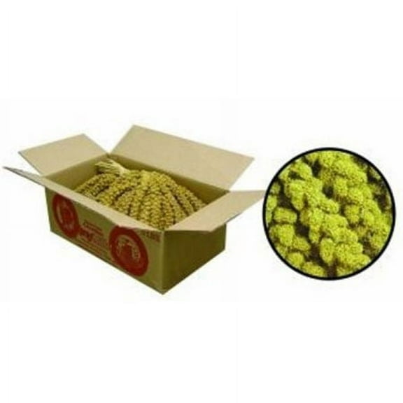 F.M. Browns Wildbird Millet Spray Bird Treat - 5 Pounds