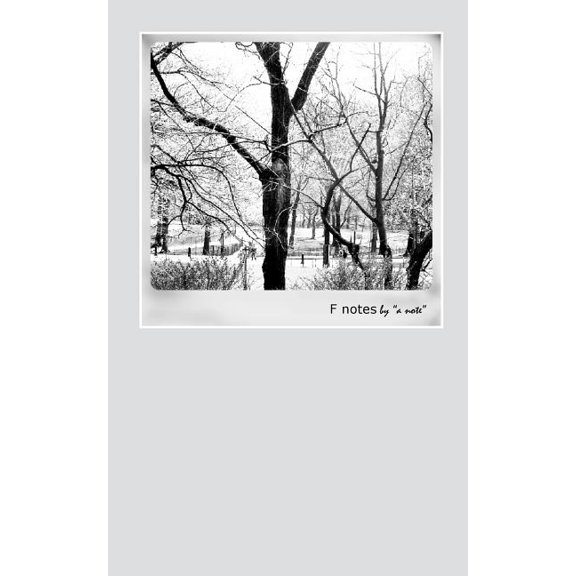F Notes by a note (Paperback)