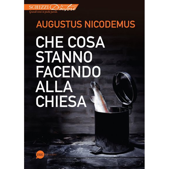 F. Pini,Augustus Nicodemus,D. Sybullelly Rey Kyl Che cosa stanno facendo alla Chie (Paperback)