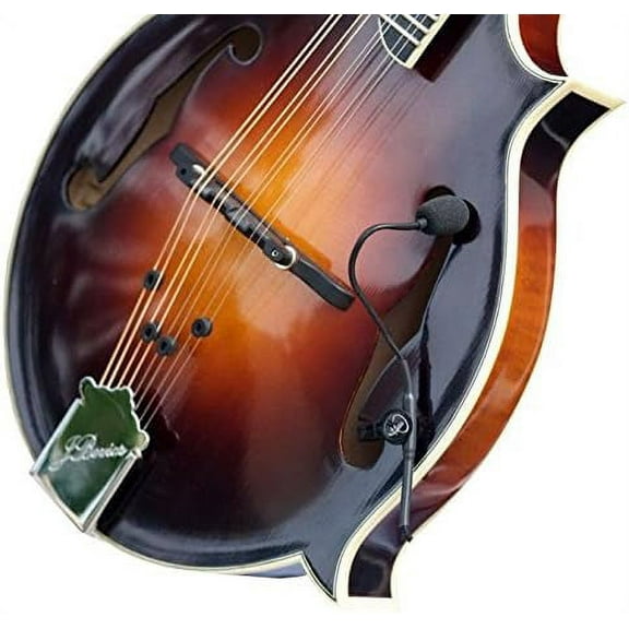 F-Style Mandolin Microphone with Flexible Micro-Gooseneck The Feather by Myers Pickups