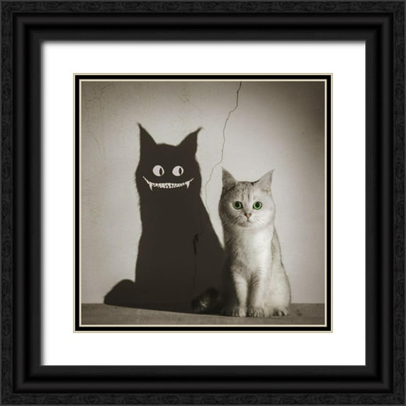 F, Terry 15x15 Black Ornate Wood Framed with Double Matting Museum Art Print Titled - The Shadow Smiles To You