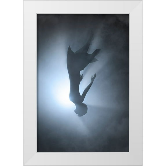 F, Terry 17x24 White Modern Wood Framed Museum Art Print Titled - Falling