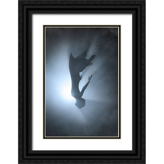 F, Terry 23x32 Black Ornate Wood Framed with Double Matting Museum Art Print Titled - Falling
