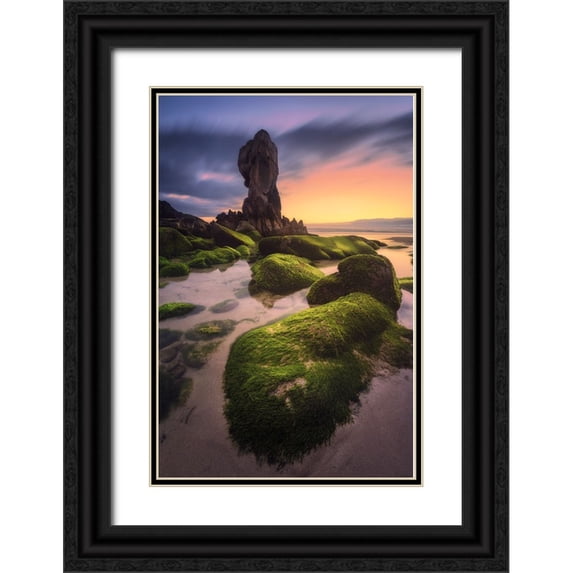 F. Turienzo, Carlos 13x18 Black Ornate Wood Framed with Double Matting Museum Art Print Titled - Lumeboo