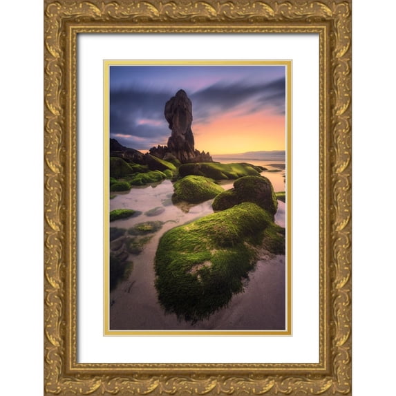 F. Turienzo, Carlos 17x24 Gold Ornate Wood Framed with Double Matting Museum Art Print Titled - Lumeboo