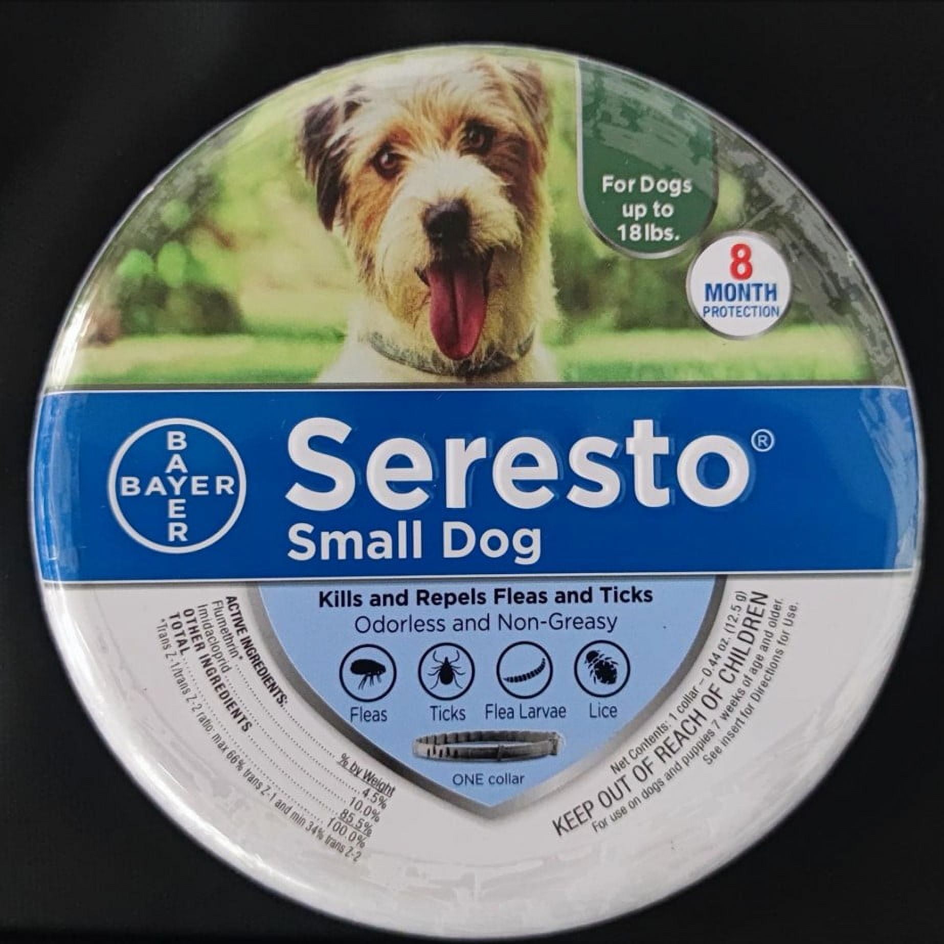 F𝗅ea and T𝗂ck Collar for Small Dogs, 8Month Collar for Small Dogs