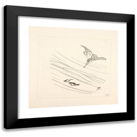 Félix Bracquemond 16x15 Black Modern Framed Museum Art Print Titled - Martin-Pecheur, Two Small Fish. (1866 - 1878)
