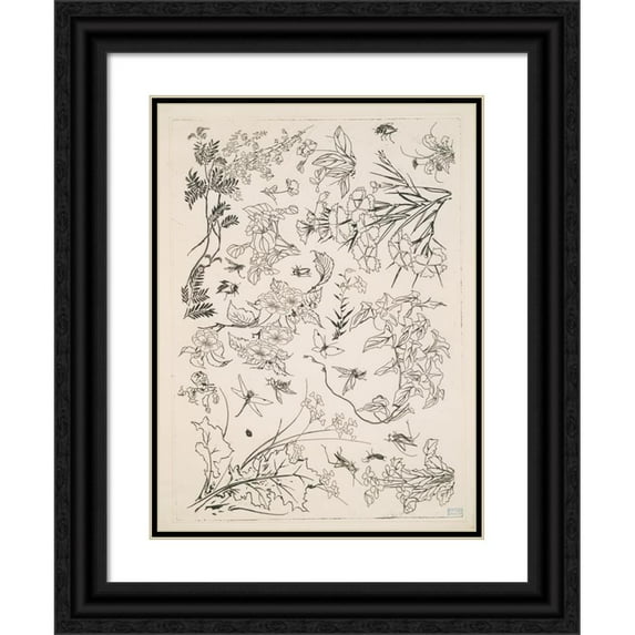 Félix Bracquemond 19x24 Black Ornate Framed Double Matted Museum Art Print Titled: Flowers (1866)