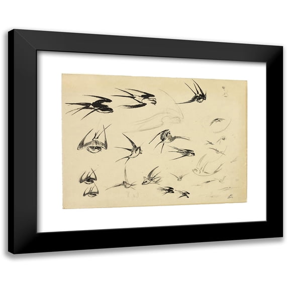 Félix Bracquemond 24x19 Black Modern Framed Museum Art Print Titled - The Swallows (1881)