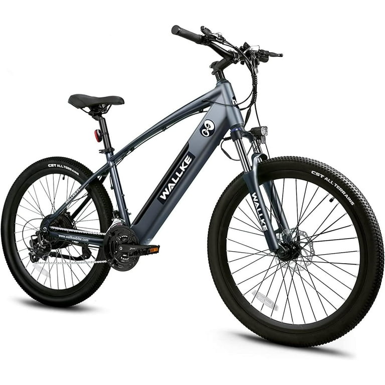 F1 Adult Electric Bike, 26