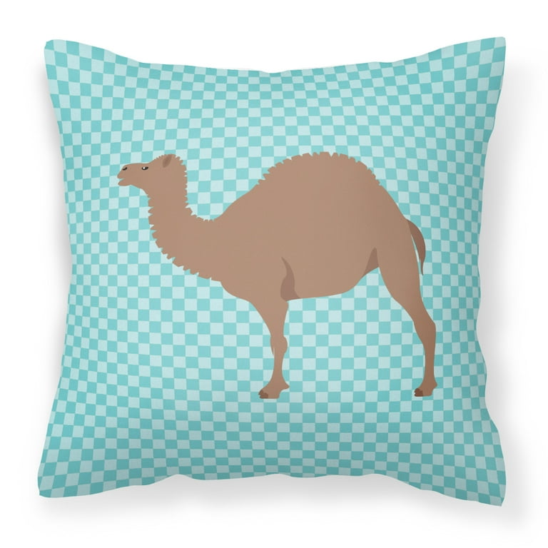 Walmart throw store pillows teal