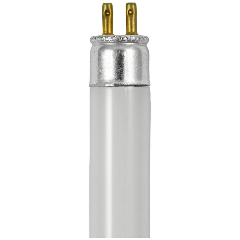 T4 16w 2025