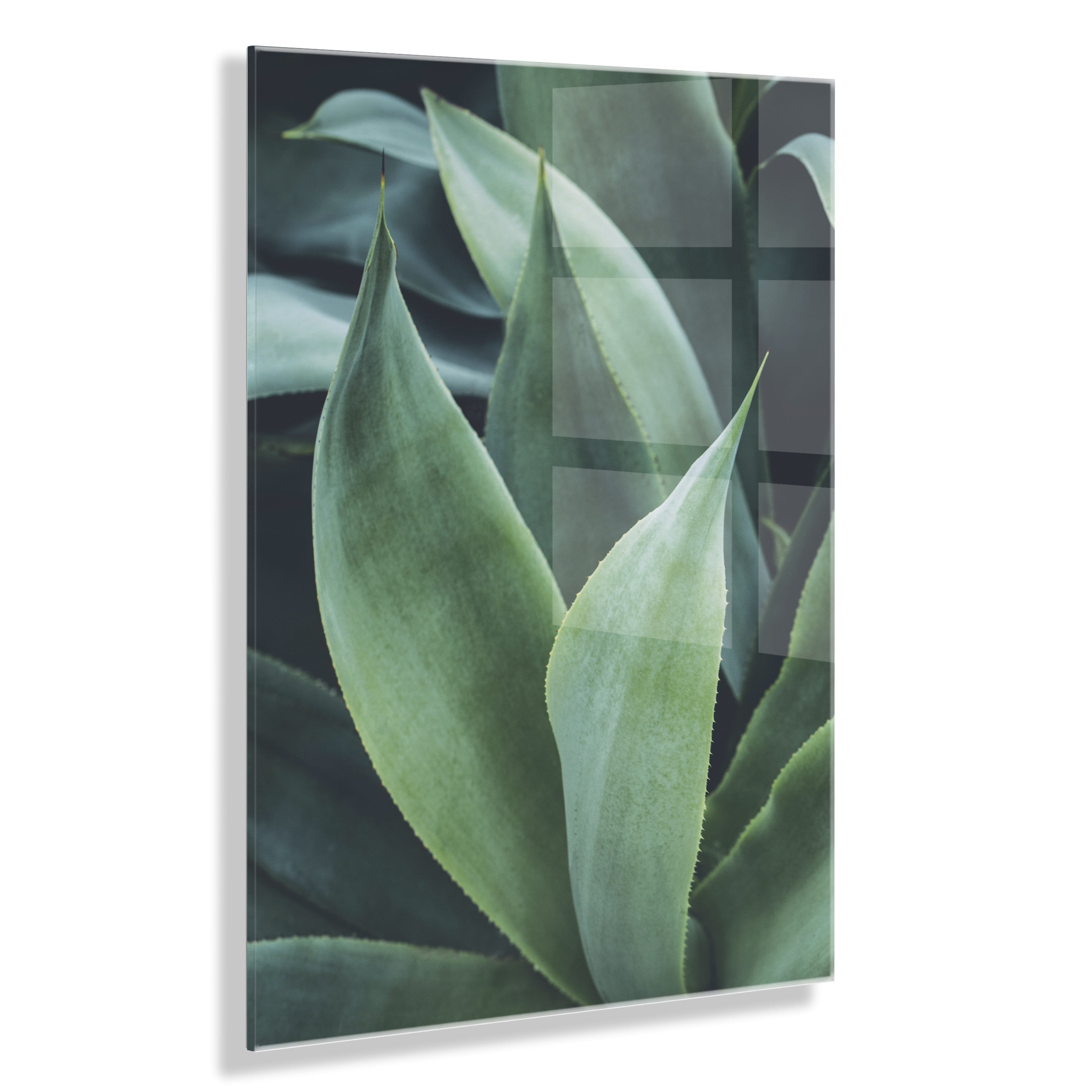 Green Agave Plant Acrylic Print Wall Art, 23" x 31"