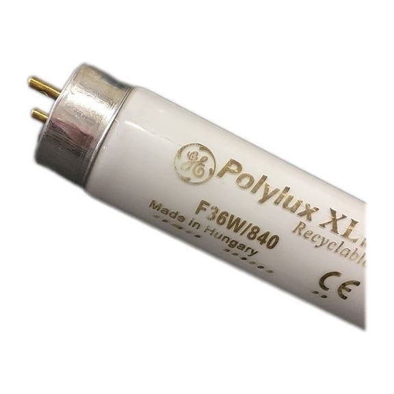F36WT8/841/XLR