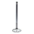 thumbnail image 1 of F5025-1 1.6 in. Hi Performance Exhaust Valve for Small Block Chevy, 1 of 1