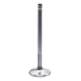 thumbnail image 1 of F6144-8 1.5 in. 6000 Series Competition Exhaust Valves for Small Block Chevy, 1 of 1