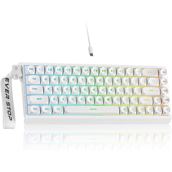 F68 Gaming Keyboard, Portable 60% Compact Mini Keyboard with 68 Round PBT Keycaps, Wired RGB Backlit Mechanical Feel Keyboard for PC Laptop Windows Gamer, White